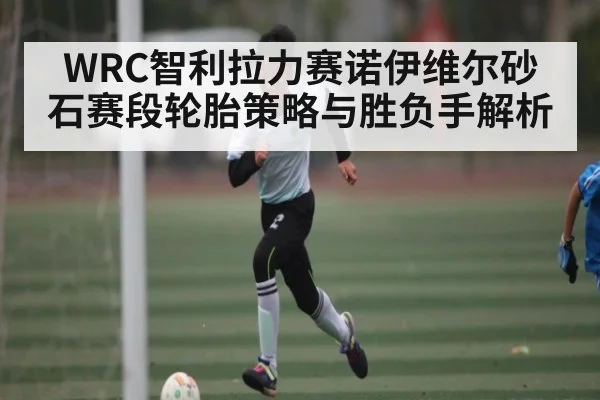 WRC智利拉力赛诺伊维尔砂石赛段轮胎策略与胜负手解析